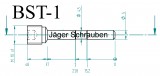 Titan (Ti6Al4V) - Bremsbelagstift natur